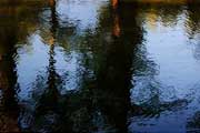 Abstracts